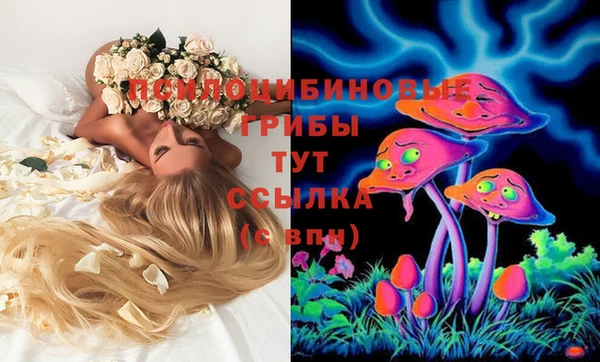 трава Белокуриха