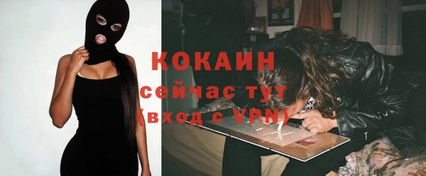 крисы Ростов