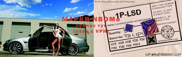 трава Белокуриха